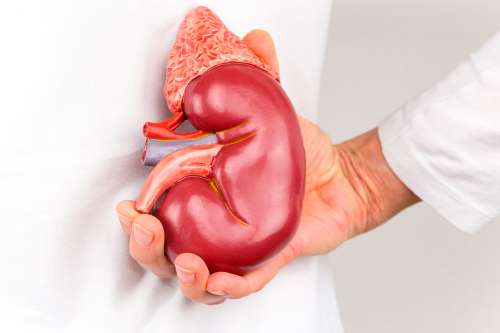 Trasplante renal