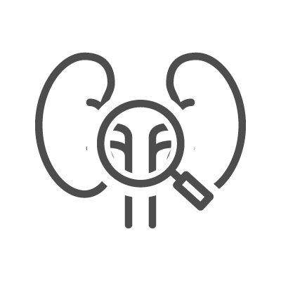 Biopsia renal